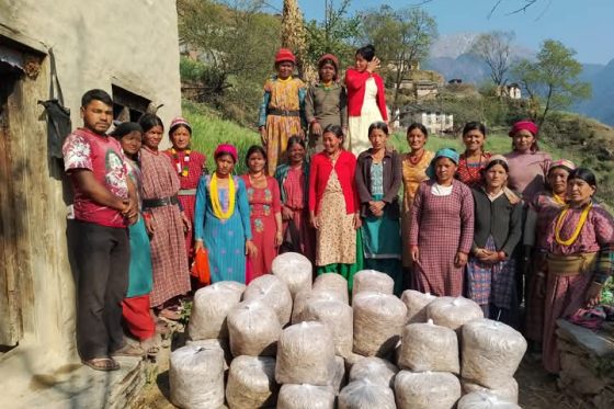 Farmers enthusiastic about mushroom farming in Masta Rural Municipality / मष्टा गाउँपालिकामा च्याउँखेतीमा कृषकहरू उत्साहित